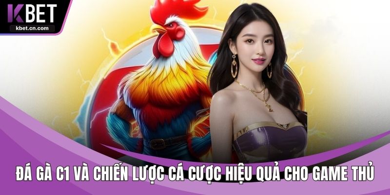 Đá gà C1
