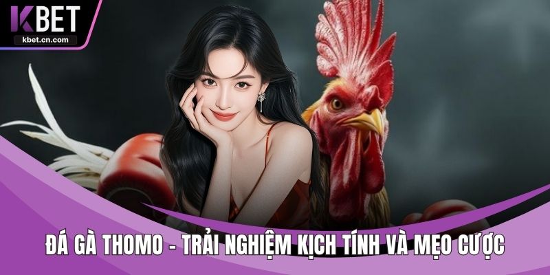 Đá Gà Thomo