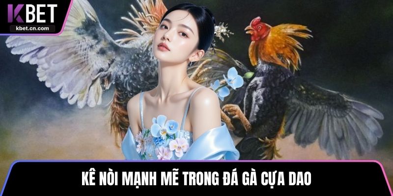 Kê nòi mạnh mẽ trong đá gà cựa dao