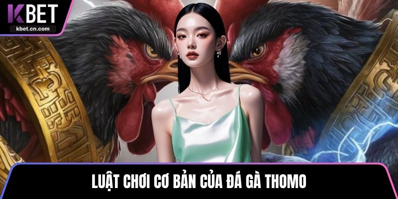 Luật chơi cơ bản của đá gà thomo