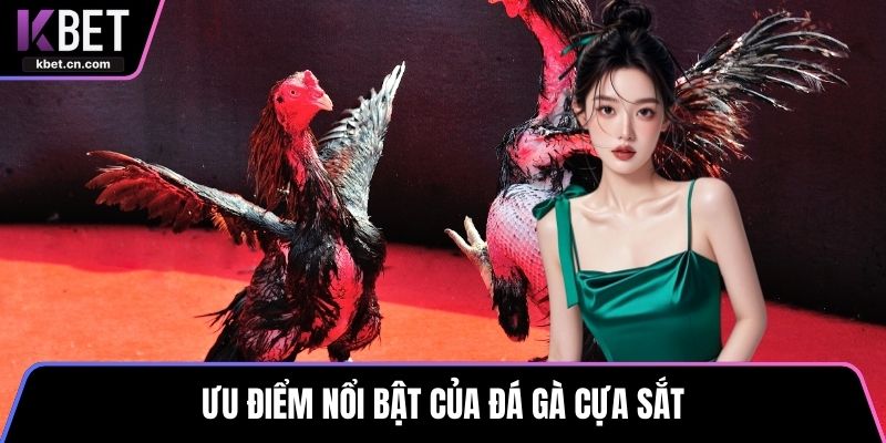 Ưu điểm nổi bật của đá gà cựa sắt