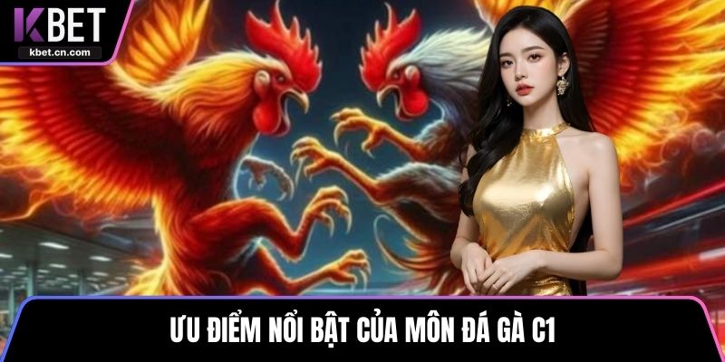 Ưu điểm nổi bật của môn đá gà C1