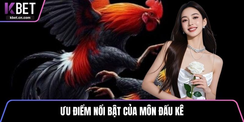 Ưu điểm nổi bật của môn đấu kê